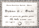 Diploma di 1°grado
